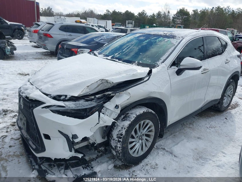 2023 Lexus Nx 350 VIN: 2T2GGCEZ1PC020708 Lot: 12521924