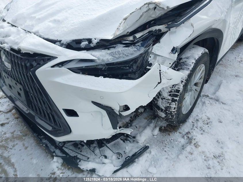 2023 Lexus Nx 350 VIN: 2T2GGCEZ1PC020708 Lot: 12521924