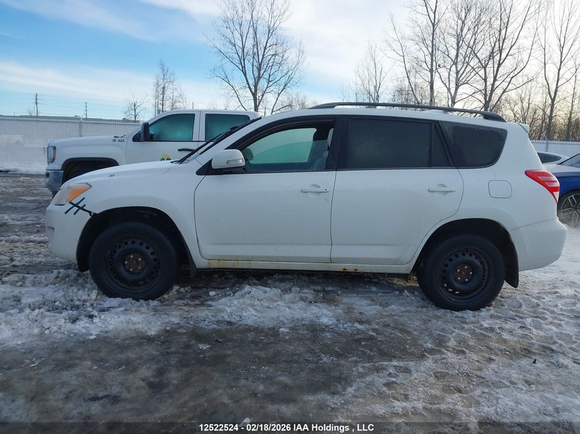 2012 Toyota Rav4 VIN: 2T3BF4DV1CW247919 Lot: 12522524