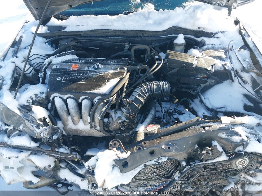 2004 Honda Accord Ex VIN: 1HGCM56634A806975 Lot: 12523058