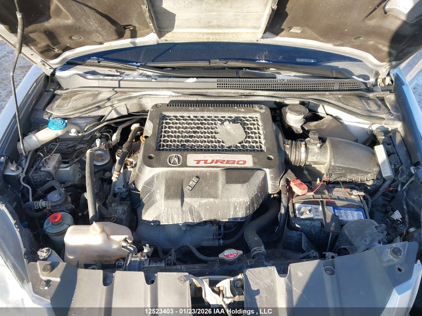 2007 Acura Rdx Technology VIN: 5J8TB18527A803475 Lot: 12523403