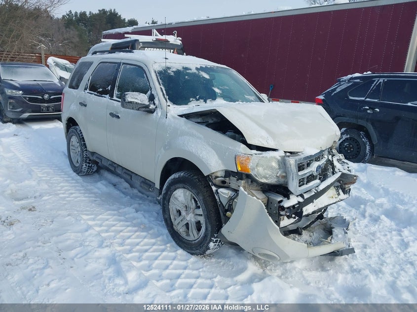 2012 FORD ESCAPE XLT