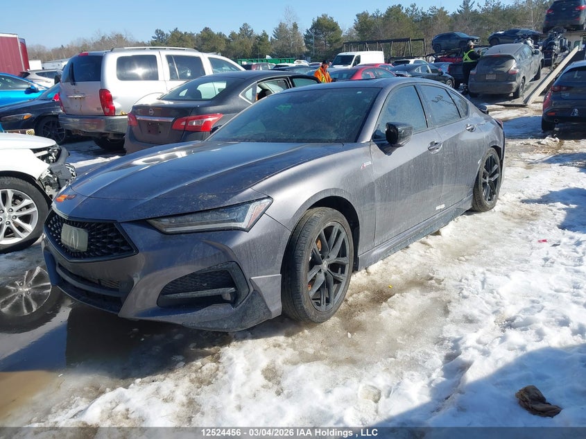 2021 Acura Tlx A-Spec, Right Side, IAAI, VIN 19UUB6F5XMA800680 — photo 2