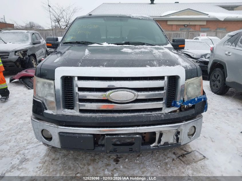 2009 Ford F-150 Stx/Xl/Xlt VIN: 1FTRX12859KC81984 Lot: 12525098