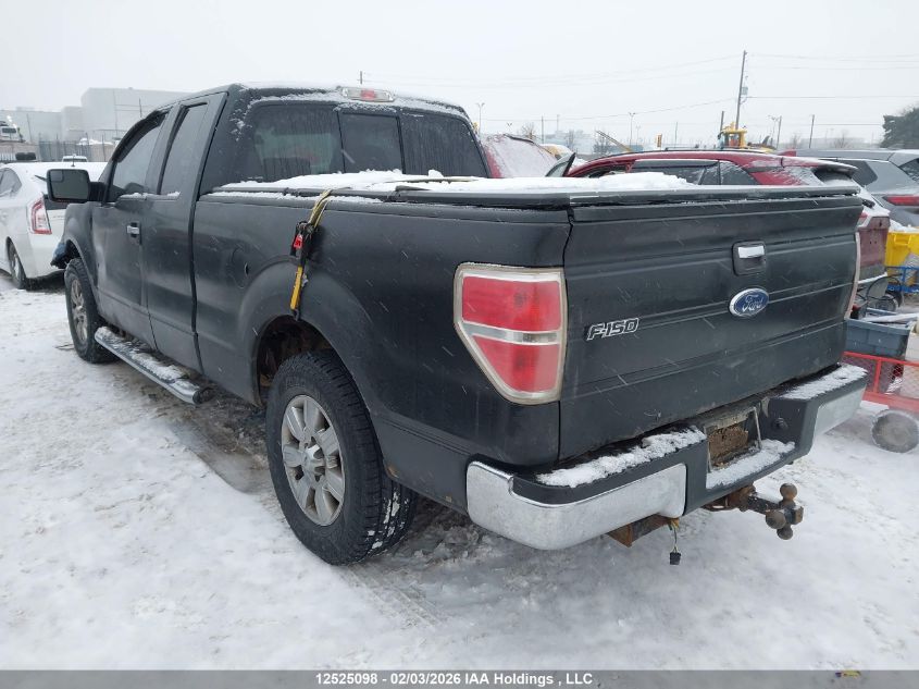 2009 Ford F-150 Stx/Xl/Xlt VIN: 1FTRX12859KC81984 Lot: 12525098