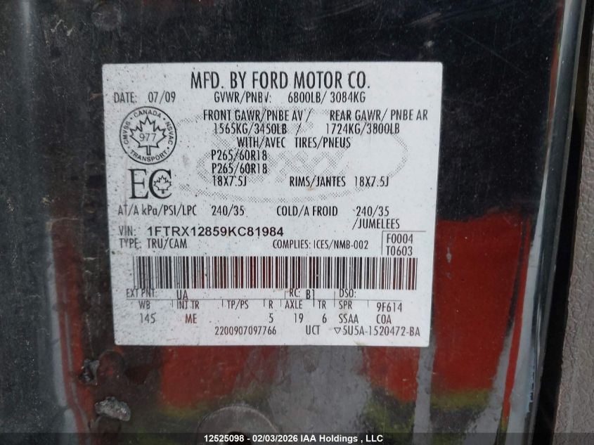 2009 Ford F-150 Stx/Xl/Xlt VIN: 1FTRX12859KC81984 Lot: 12525098