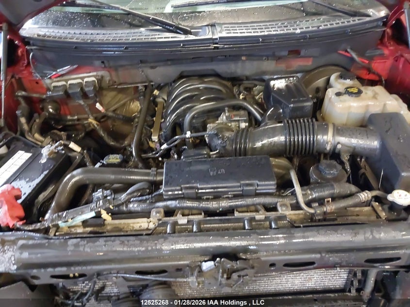 2009 Ford F150 Supercrew VIN: 1FTRW14879FB48894 Lot: 12525268