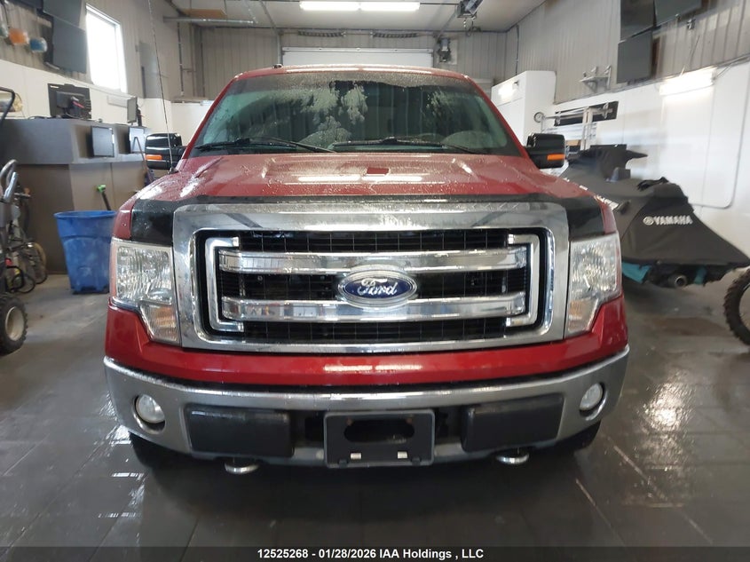 2009 Ford F150 Supercrew VIN: 1FTRW14879FB48894 Lot: 12525268