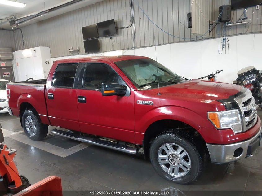 2009 Ford F150 Supercrew VIN: 1FTRW14879FB48894 Lot: 12525268