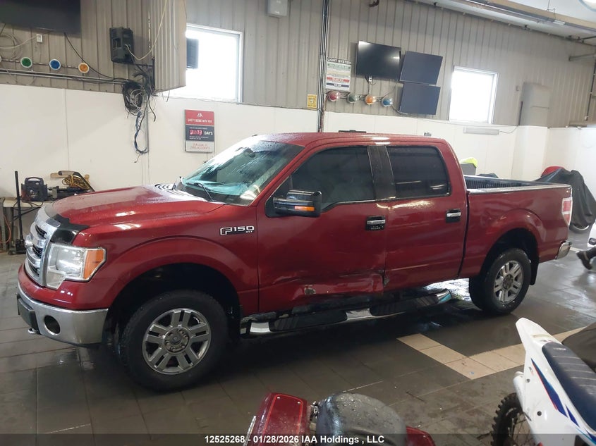 2009 Ford F150 Supercrew VIN: 1FTRW14879FB48894 Lot: 12525268