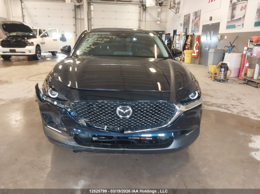 2025 Mazda Cx-30 Select VIN: 3MVDMBBM0SM859007 Lot: 12525799