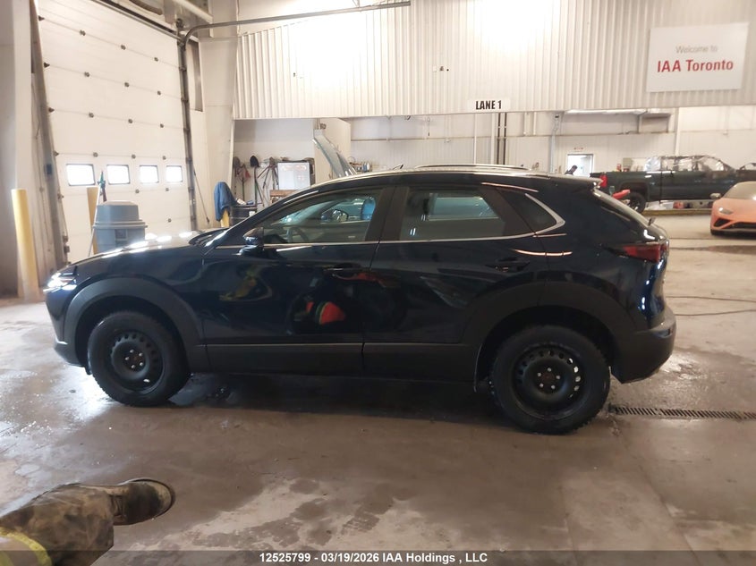 2025 Mazda Cx-30 Select VIN: 3MVDMBBM0SM859007 Lot: 12525799