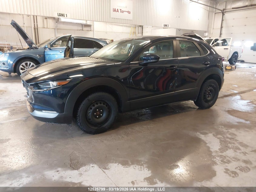 Vin: 3mvdmbbm0sm859007, lot: 2915537, mazda cx-30 select 20252