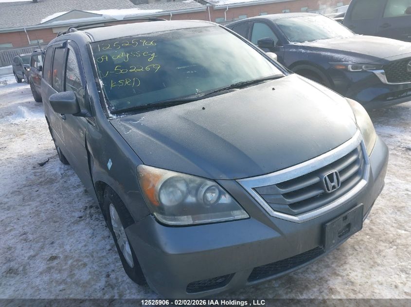 2009 Honda Odyssey Ex VIN: 5FNRL38429B502269 Lot: 12525906