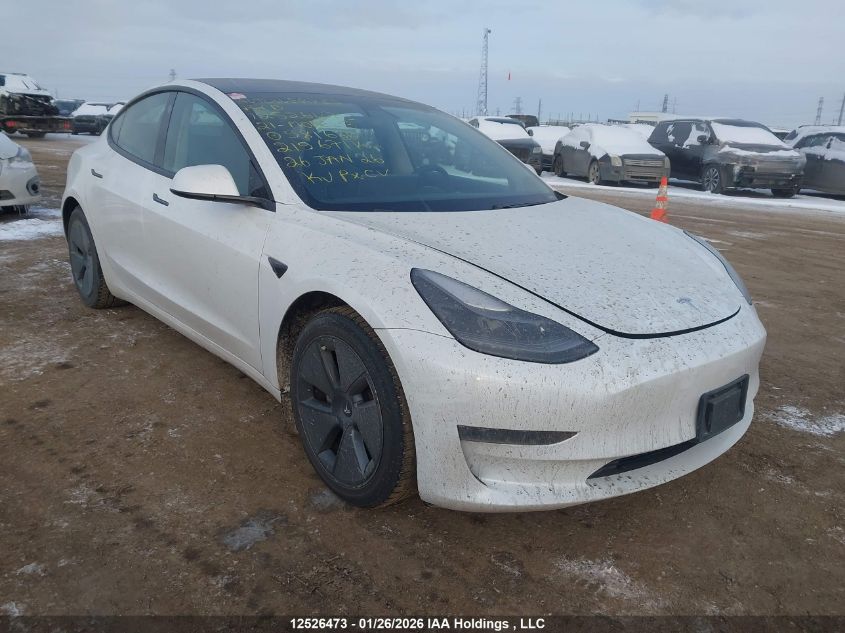 2021 Tesla Model 3