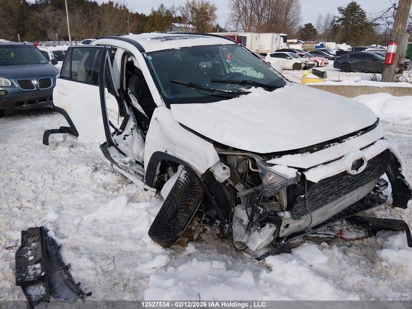 2T3R1RFV1KW003273 2019 Toyota Rav4 auction photo 1