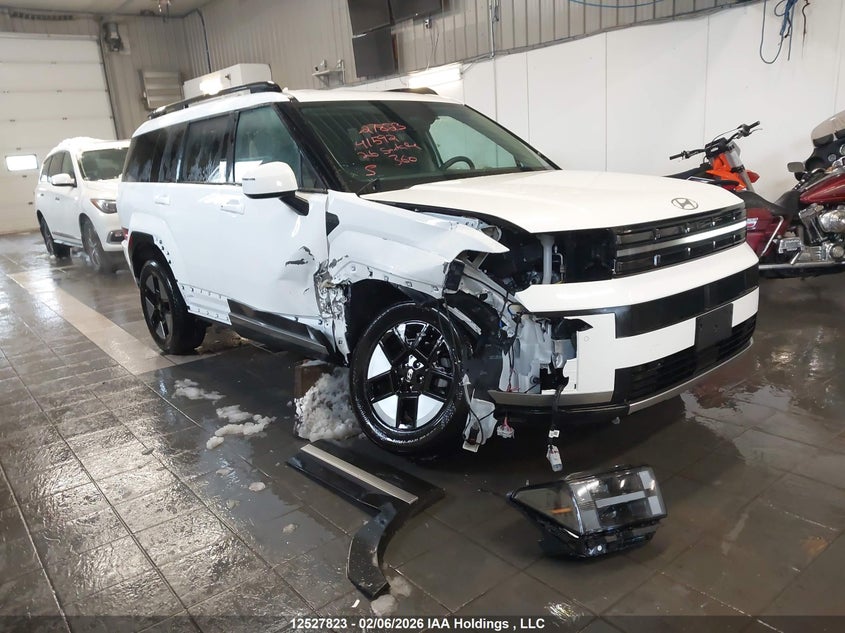 KM8P2DG19TU141592 HYUNDAI SANTA FE Photo 1