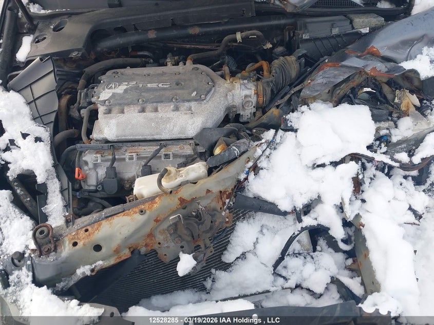 2005 Acura Tl VIN: 19UUA66275A804244 Lot: 12528285