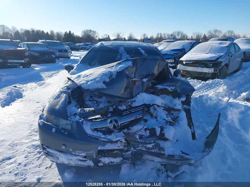 2005 Acura Tl VIN: 19UUA66275A804244 Lot: 12528285