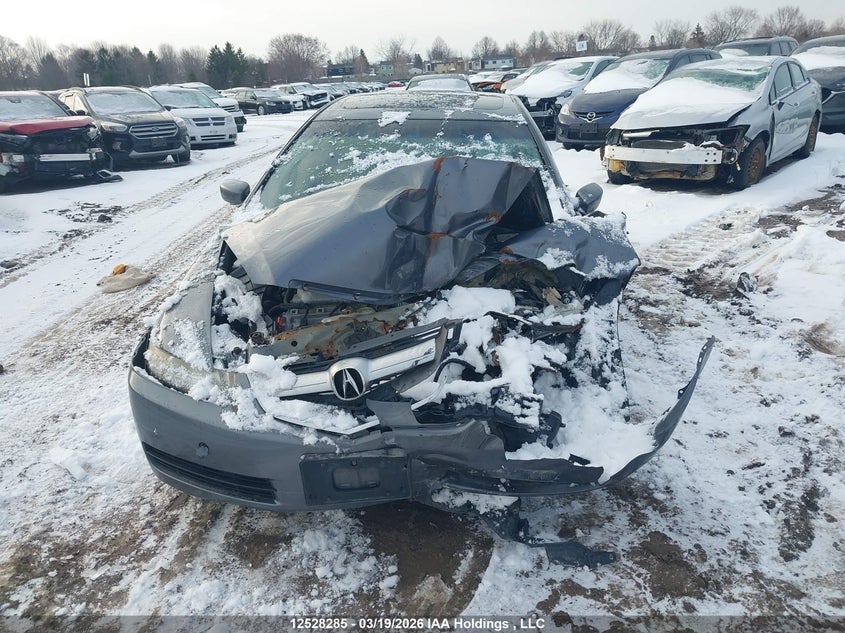 2005 Acura Tl VIN: 19UUA66275A804244 Lot: 12528285