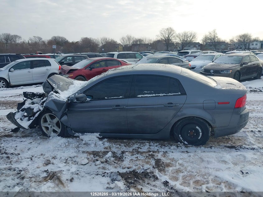 2005 Acura Tl VIN: 19UUA66275A804244 Lot: 12528285