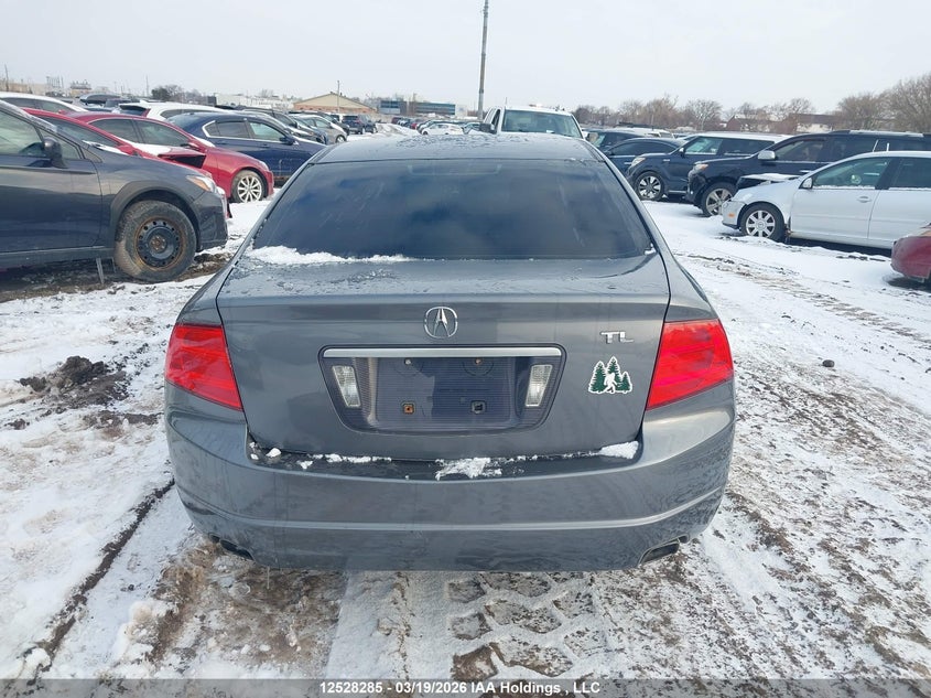 2005 Acura Tl VIN: 19UUA66275A804244 Lot: 12528285