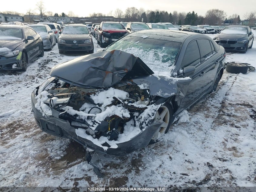 2005 Acura Tl VIN: 19UUA66275A804244 Lot: 12528285