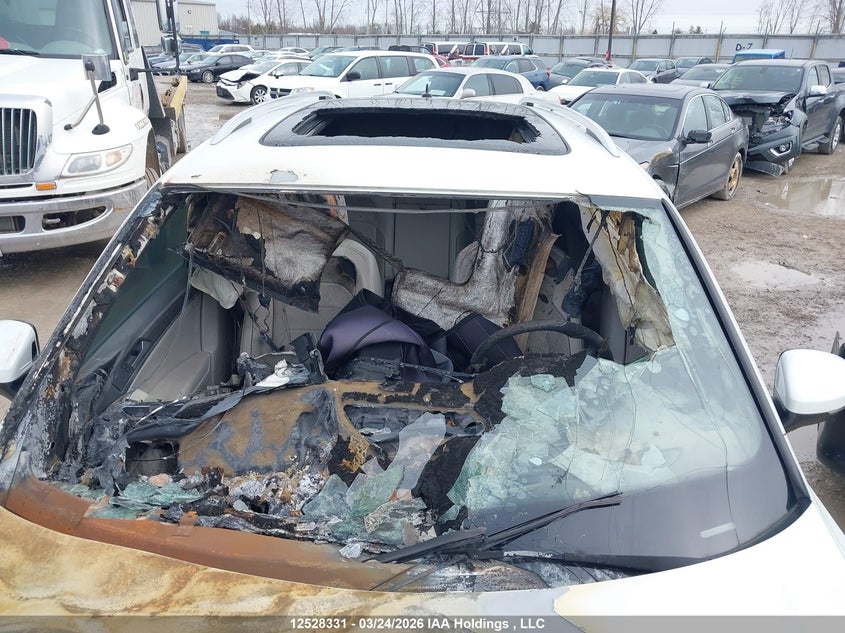 2024 Volkswagen Tiguan VIN: 3VV4B7AX0RM036671 Lot: 12528331