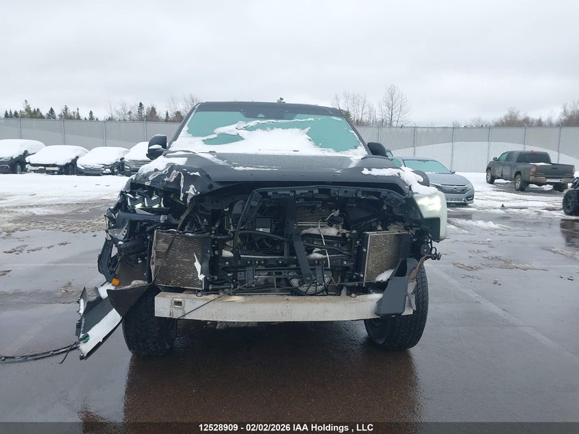 2023 Toyota Tundra Crewmax Limited/Crewmax Trd Pro VIN: 5TFPC5DBXPX029070 Lot: 12528909