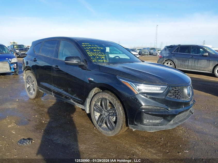 2019 ACURA RDX A-SPEC