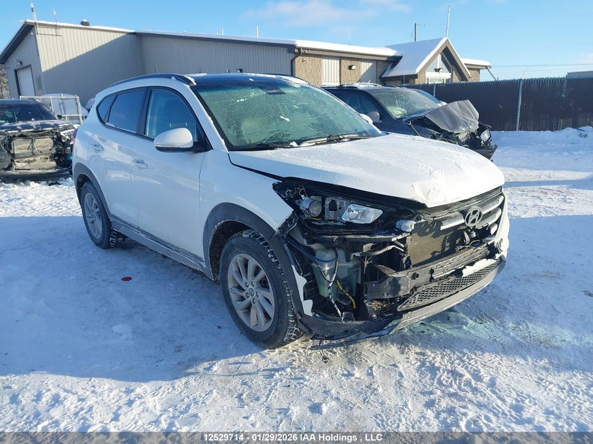 KM8J3CA49HU492395 2017 Hyundai Tucson auction photo 1