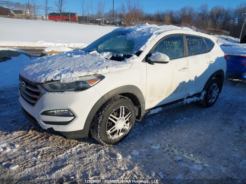 2017 Hyundai Tucson, Front, IAAI, VIN KM8J2CA40HU560537 — photo 2