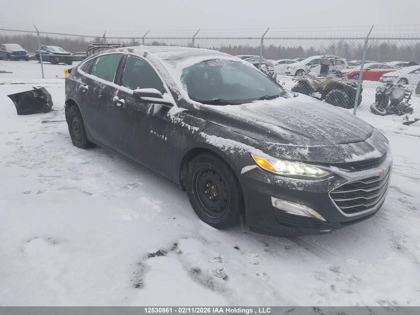 1G1ZE5ST9PF155255 2023 Chevrolet Malibu 2Lt auction photo 1
