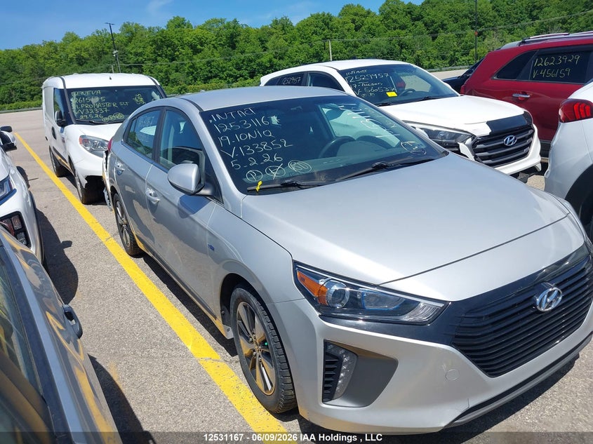2019 Hyundai Ioniq VIN: KMHC65LD3KU133852 Lot: 12531167