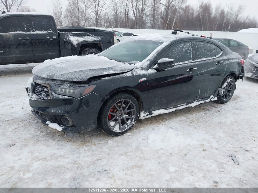 2020 Acura Tlx Technology/A-Spec, Rear, IAAI, VIN 19UUB1F66LA800475 — photo 2