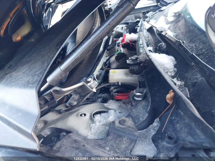 2025 Tesla Model 3 Long Range VIN: 5YJ3E1EA3SF954011 Lot: 12532581