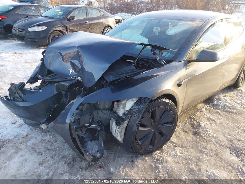 2025 Tesla Model 3 Long Range VIN: 5YJ3E1EA3SF954011 Lot: 12532581