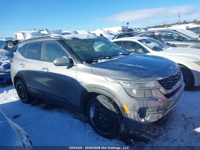 2021 Kia Seltos VIN: KNDEPCAA8M7109412 Lot: 12534325