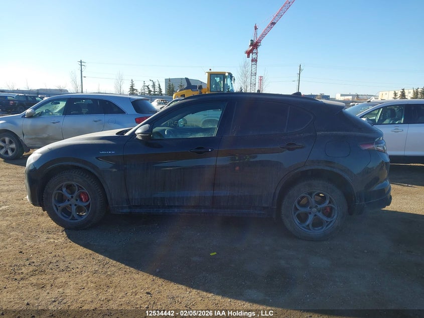 2025 ALFA ROMEO STELVIO SPORT UTILITY VEHICLE 2.0L I-4 DI, VVT, TURBO, 280HP