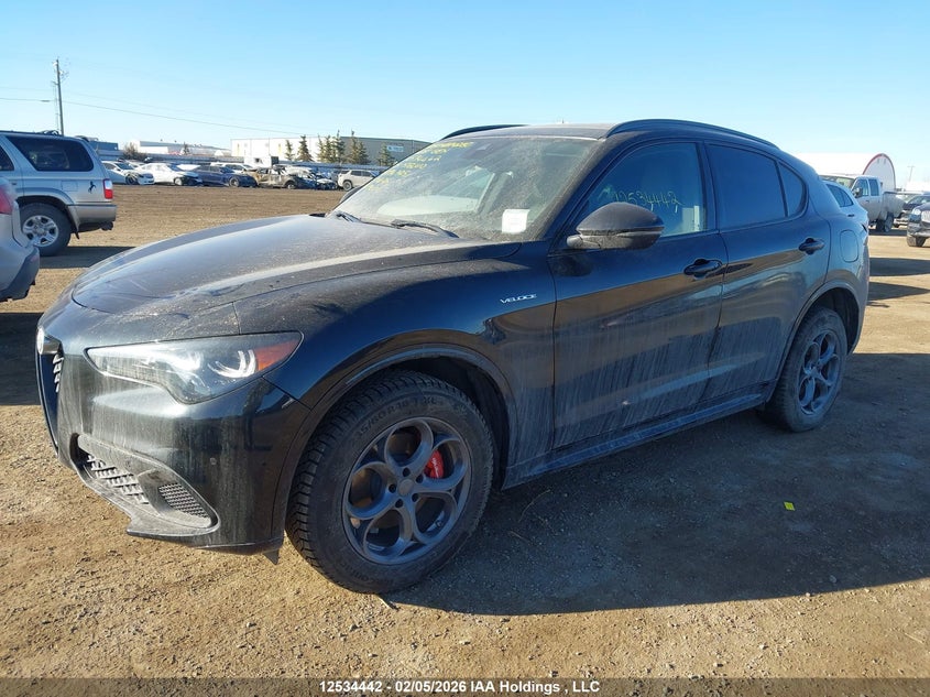 2025 ALFA ROMEO STELVIO SPORT UTILITY VEHICLE 2.0L I-4 DI, VVT, TURBO, 280HP