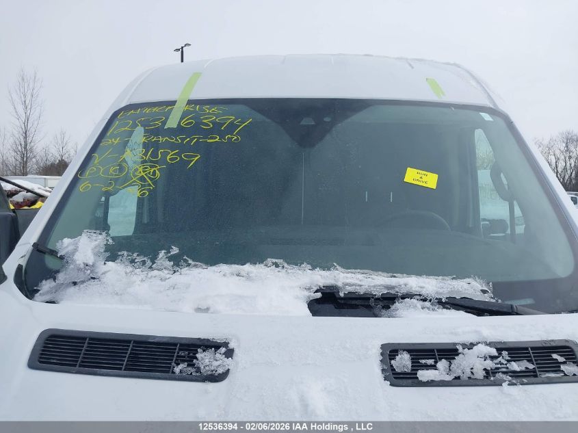 2024 Ford Transit-250 Cargo VIN: 1FTBR1C81RKA31569 Lot: 12536394