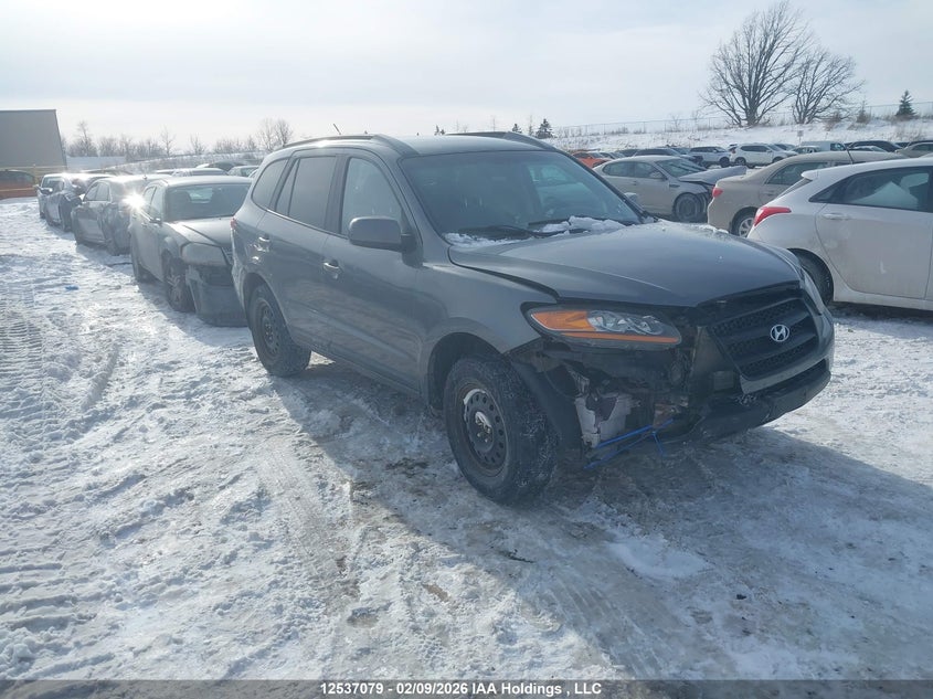 5NMSG13D49H265672 HYUNDAI SANTA FE Photo 1