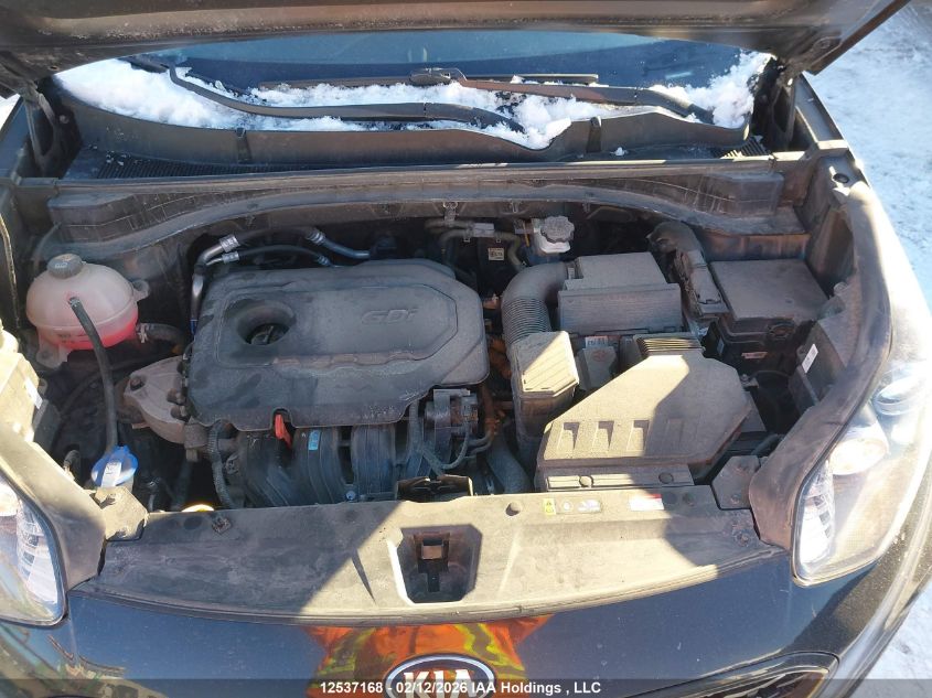 2021 Kia Sportage Lx VIN: KNDPMCACXM7893658 Lot: 12537168