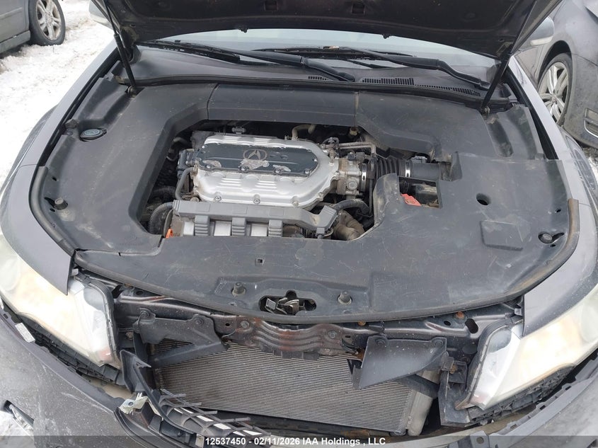 2009 Acura Tl VIN: 19UUA86239A800760 Lot: 12537450