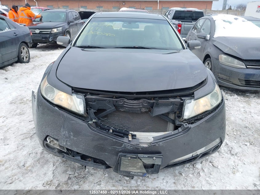 2009 Acura Tl VIN: 19UUA86239A800760 Lot: 12537450