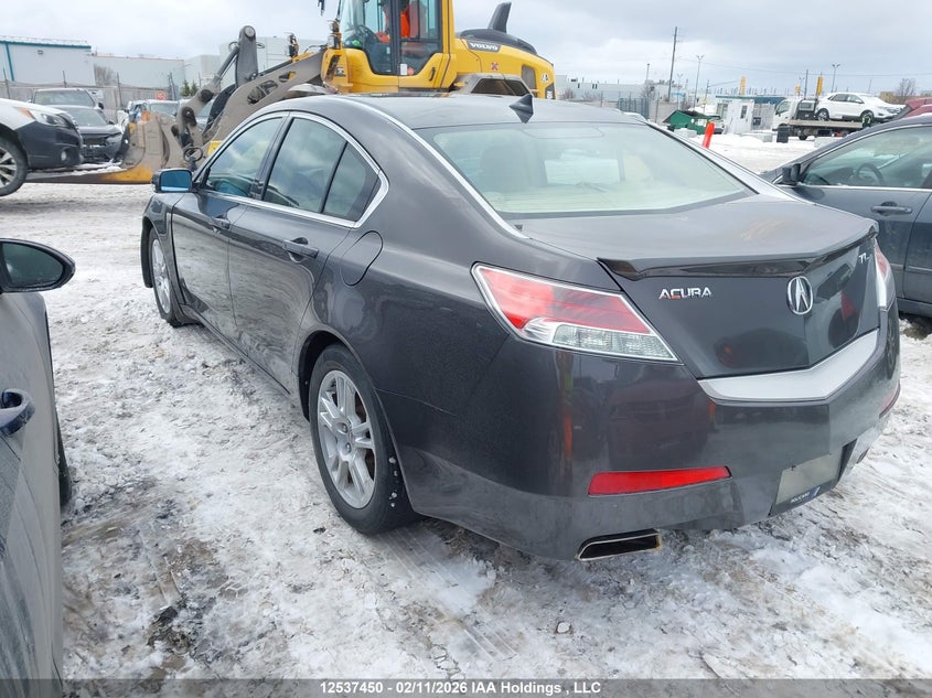 2009 Acura Tl VIN: 19UUA86239A800760 Lot: 12537450