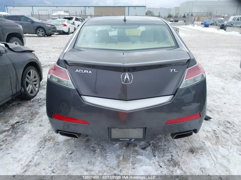 2009 Acura Tl VIN: 19UUA86239A800760 Lot: 12537450