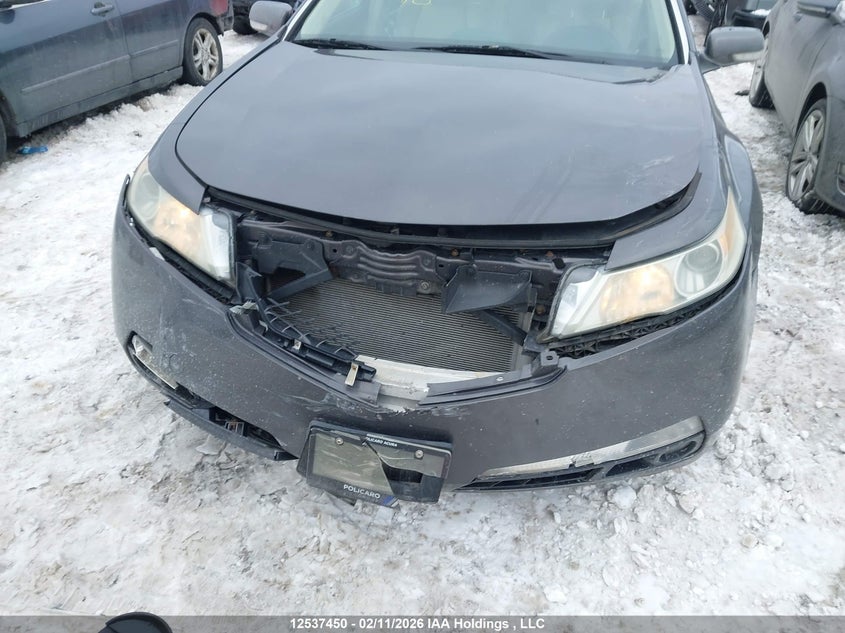 2009 Acura Tl VIN: 19UUA86239A800760 Lot: 12537450