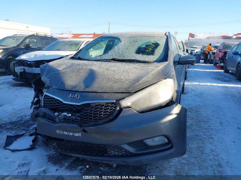 2014 Kia Forte Lx VIN: KNAFX4A63E5126294 Lot: 12537578