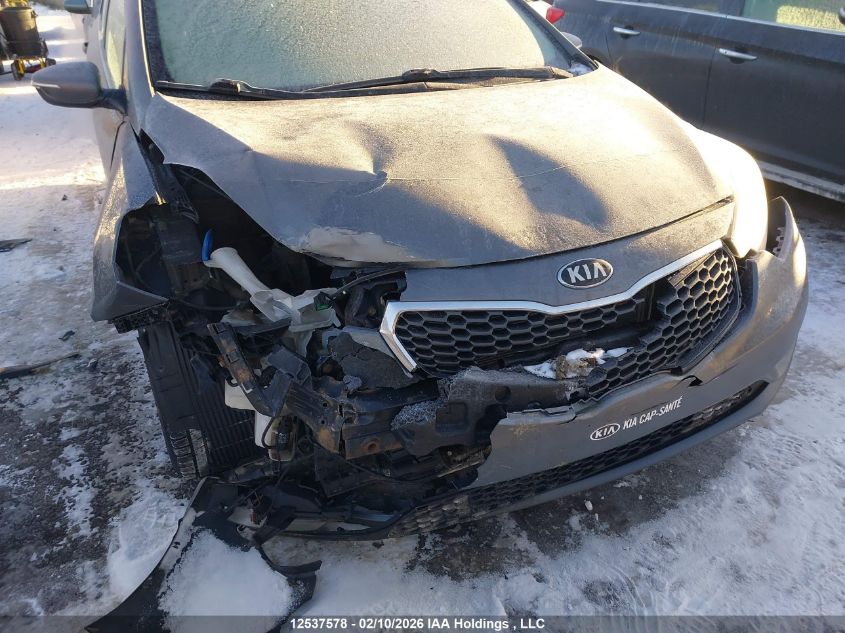 2014 Kia Forte Lx VIN: KNAFX4A63E5126294 Lot: 12537578